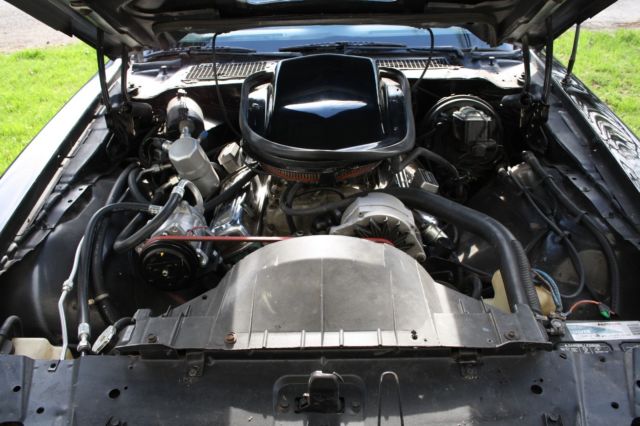 1980 Pontiac Trans Am - photo 13