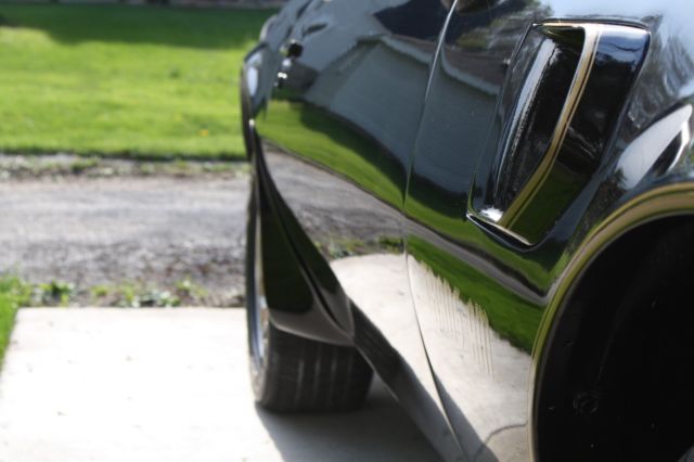 1980 Pontiac Trans Am - photo 8