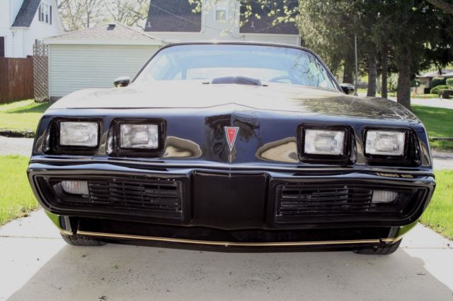 1980 Pontiac Trans Am - photo 9