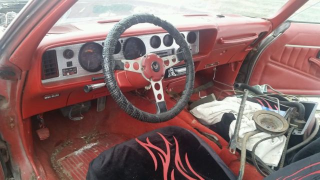 1980 Pontiac Trans Am - photo 10