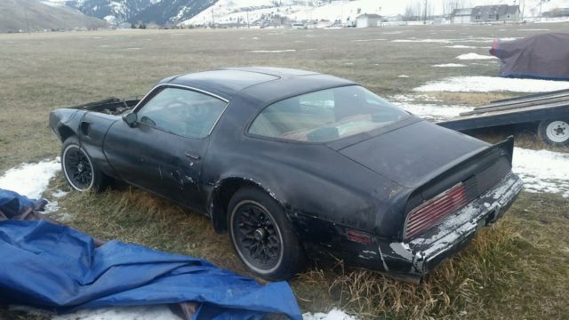 1980 Pontiac Trans Am - photo 2