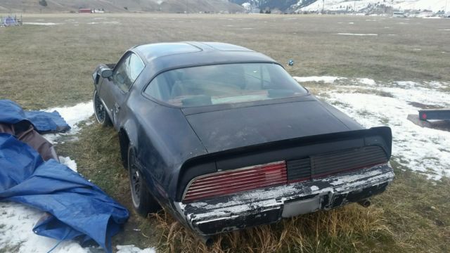 1980 Pontiac Trans Am - photo 3