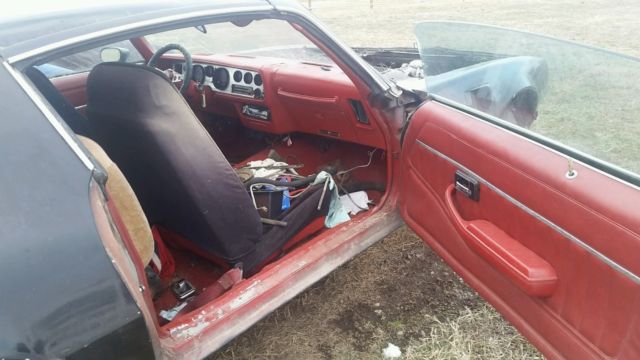1980 Pontiac Trans Am - photo 7