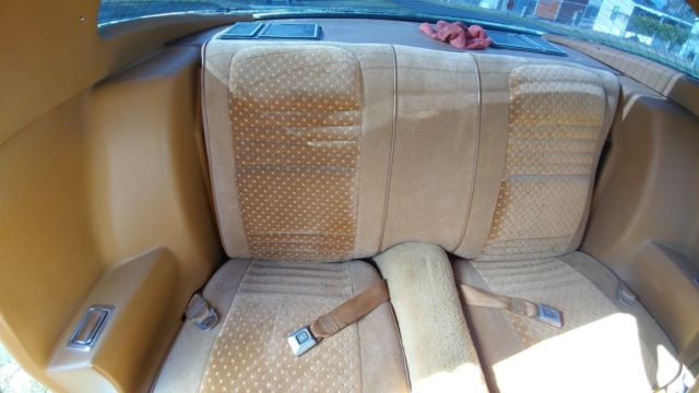 1980 Pontiac Trans Am - photo 11