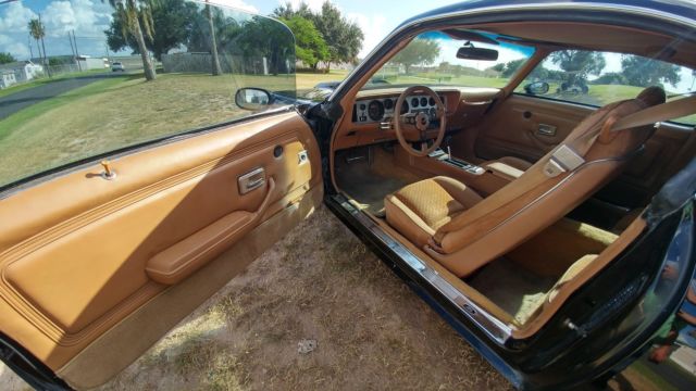 1980 Pontiac Trans Am - photo 12