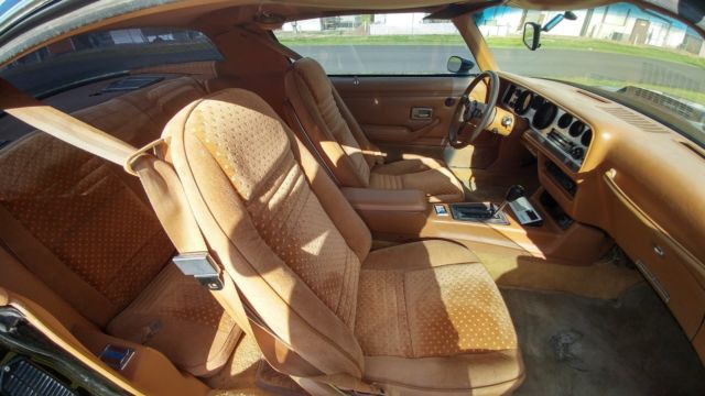 1980 Pontiac Trans Am - photo 13