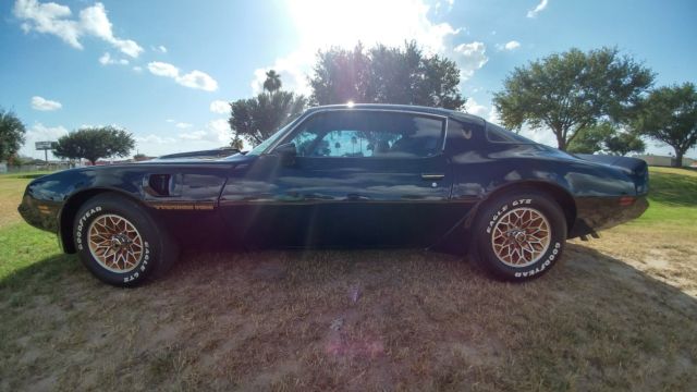 1980 Pontiac Trans Am - photo 2