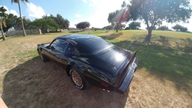 1980 Pontiac Trans Am - photo 4