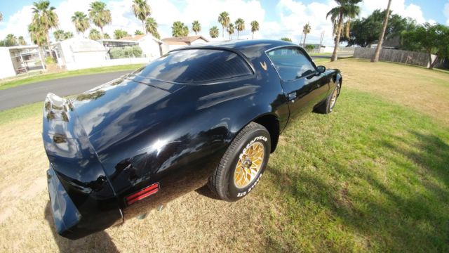 1980 Pontiac Trans Am - photo 6