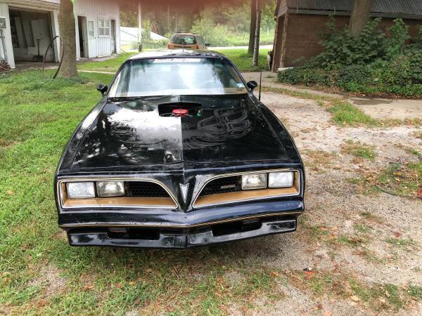 1980 Pontiac Firebird Trans Am - photo 2