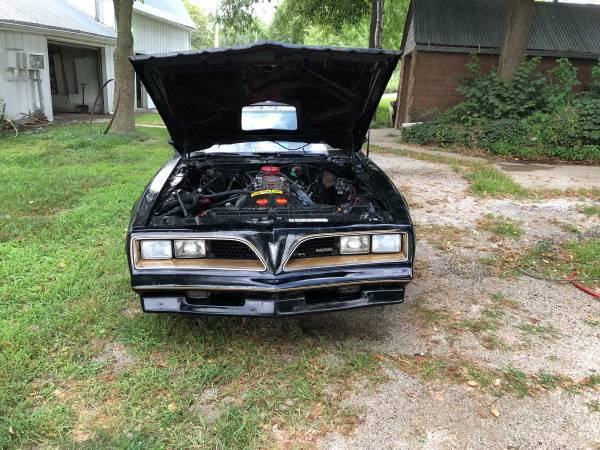 1980 Pontiac Firebird Trans Am - photo 7
