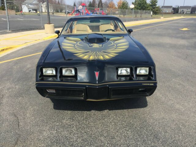 1980 Pontiac Trans Am Y84 SE - photo 2