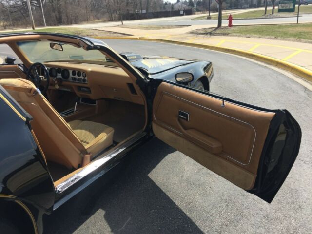 1980 Pontiac Trans Am Y84 SE - photo 8