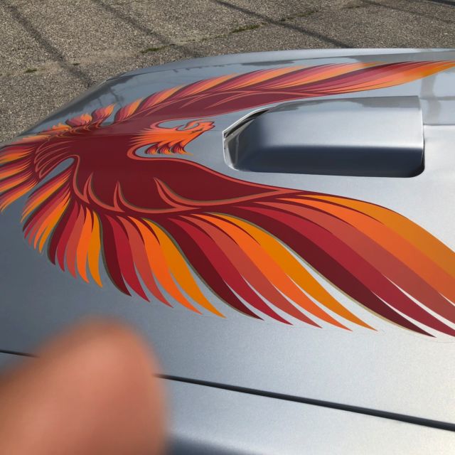 1980 Pontiac Trans Am - photo 12