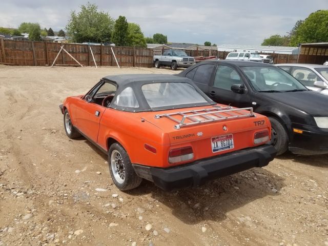 1980 Triumph TR7 - photo 2