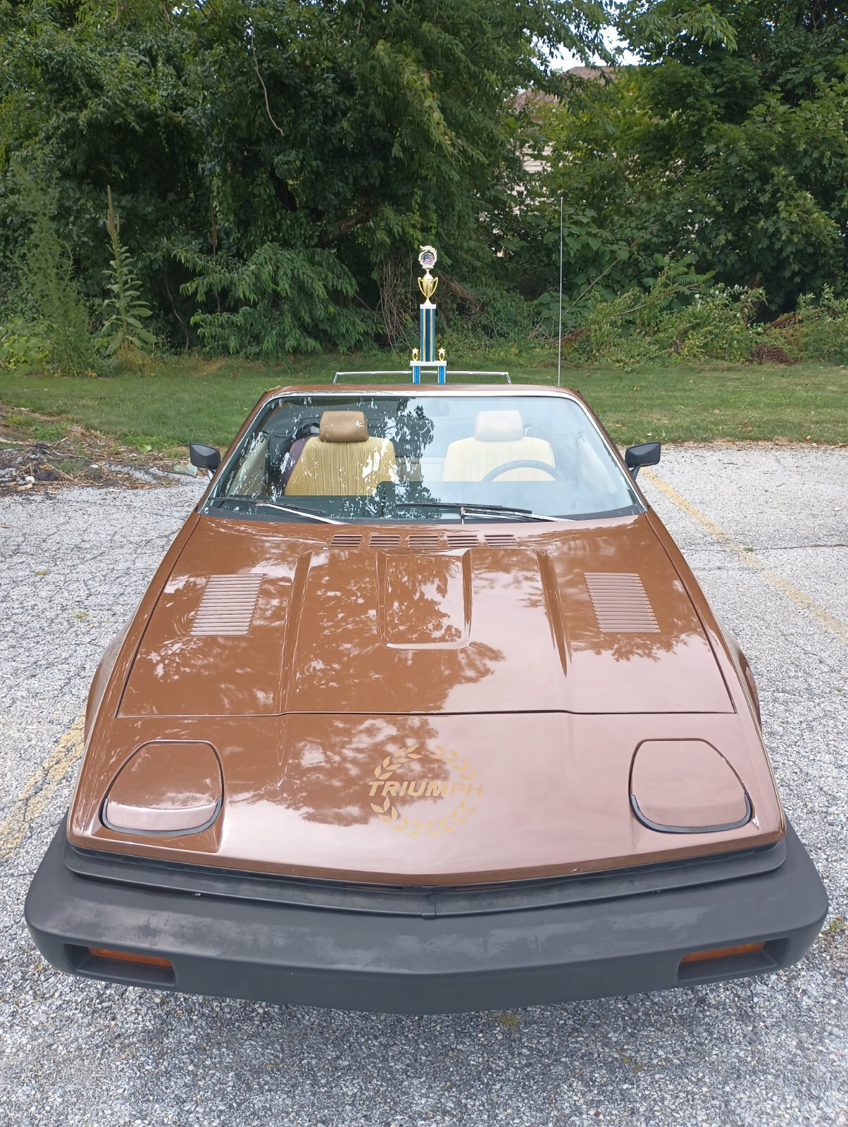 1980 Triumph TR7  Convertible, Cabrio, Roadster 1980 Triumph TR7
