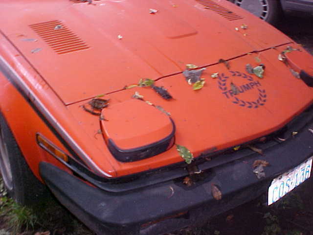 1980 Triumph Other - photo 11