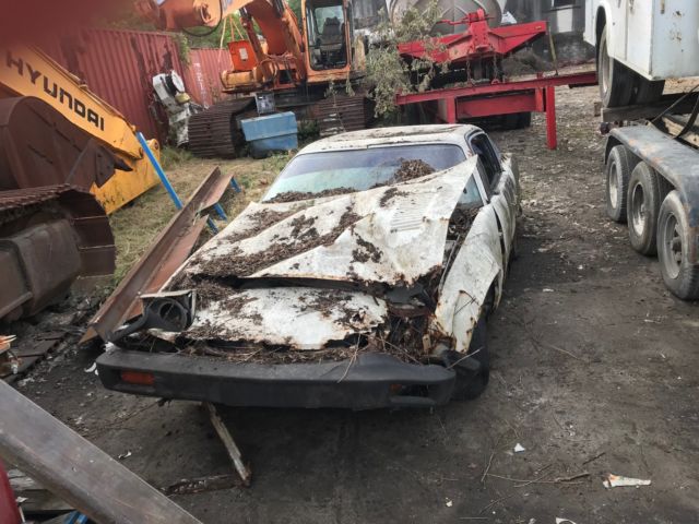 1980 Triumph TR8 - photo 2