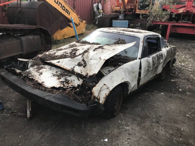 1980 Triumph TR8 - photo 3