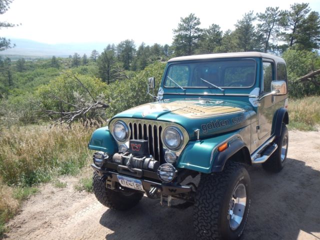 1980 Jeep CJ Golden Eagle - photo 2
