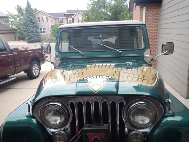 1980 Jeep CJ Golden Eagle - photo 6