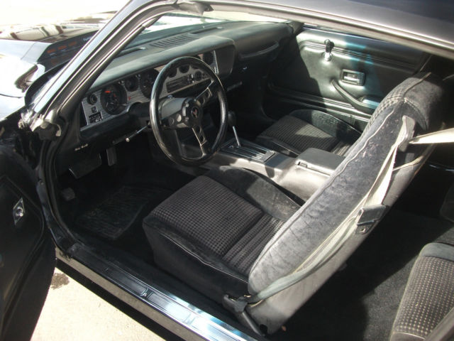 1980 Pontiac Trans Am - photo 11