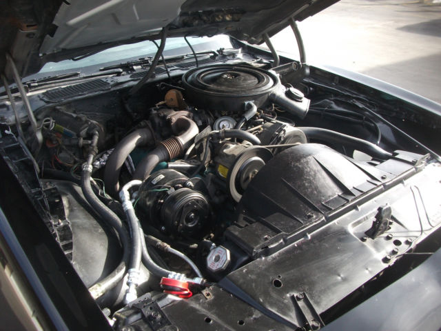 1980 Pontiac Trans Am - photo 5