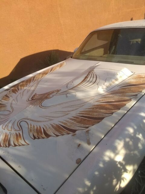 1980 Pontiac Trans Am - photo 2