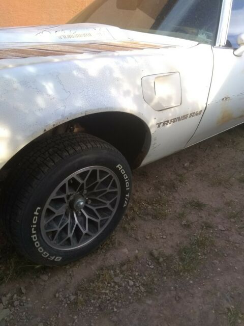 1980 Pontiac Trans Am - photo 4
