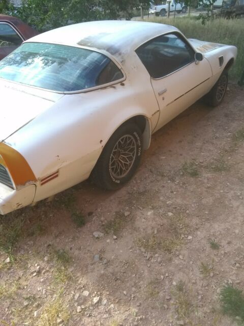 1980 Pontiac Trans Am - photo 6