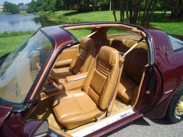 1980 Pontiac Trans Am burgundy - photo 8