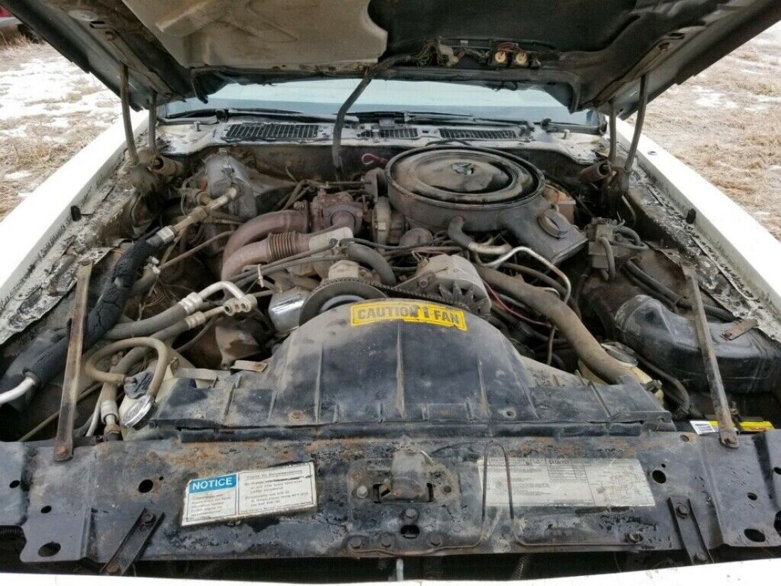 1980 Pontiac Trans Am - photo 2