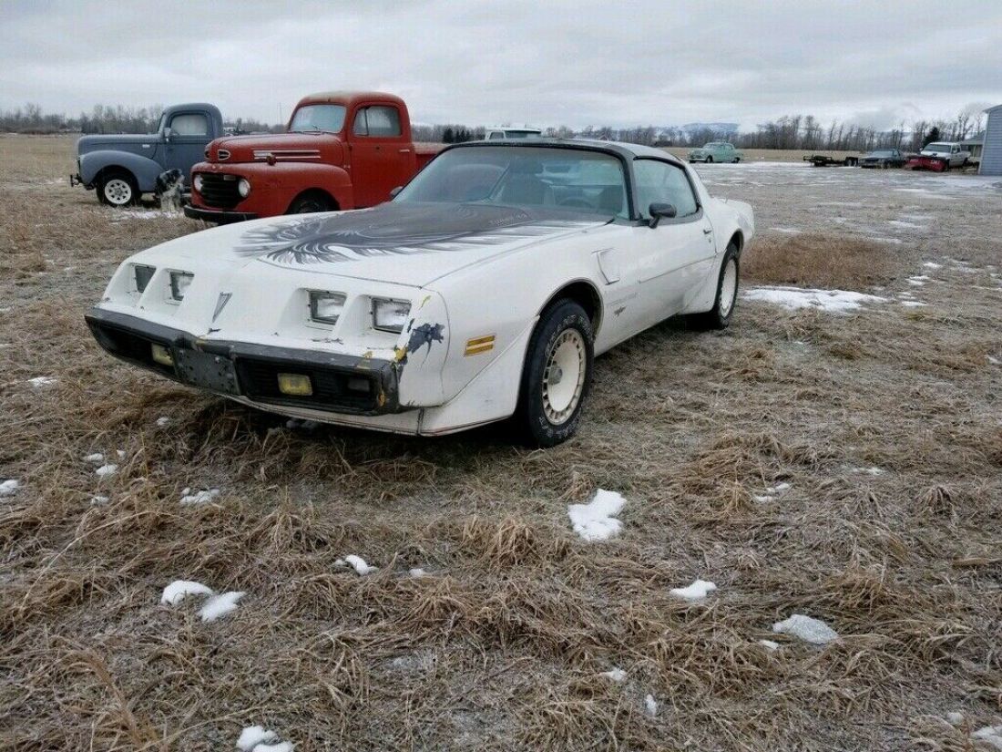 1980 Pontiac Trans Am - photo 3