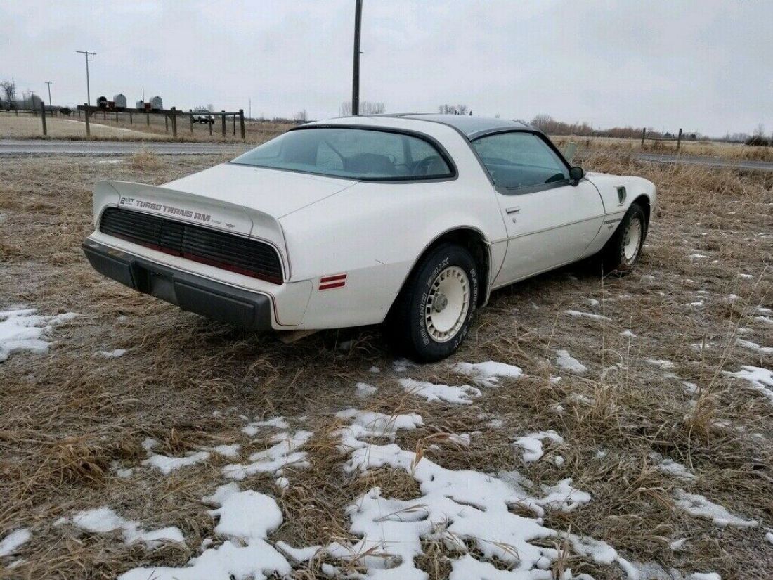 1980 Pontiac Trans Am - photo 4