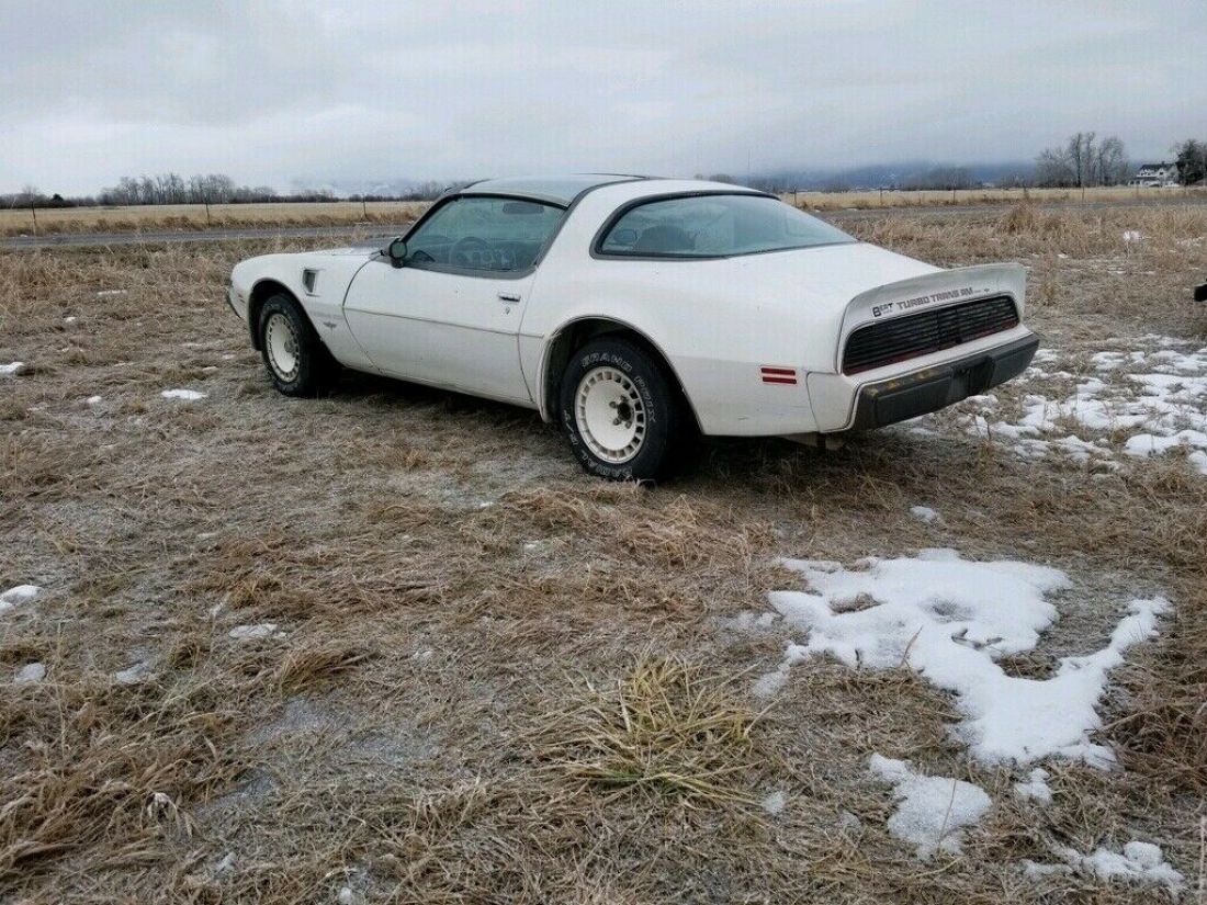 1980 Pontiac Trans Am - photo 5