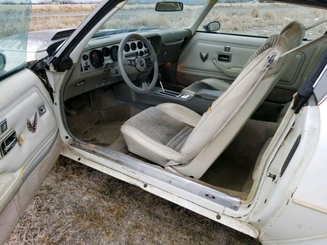 1980 Pontiac Trans Am - photo 7
