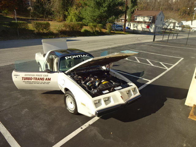 1980 Pontiac Trans Am - photo 4