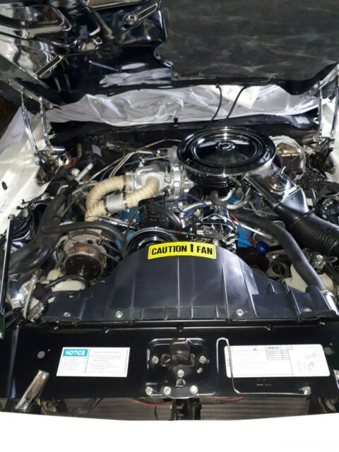 1980 Pontiac Trans Am Firebird - photo 9