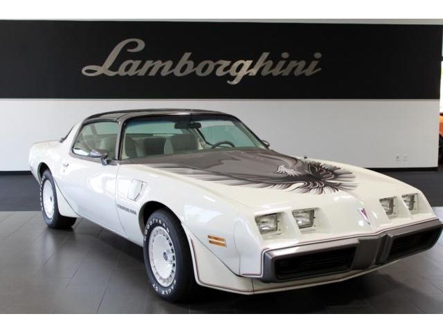 1980 turbo trans am pace car 1980 Pontiac Trans Am
