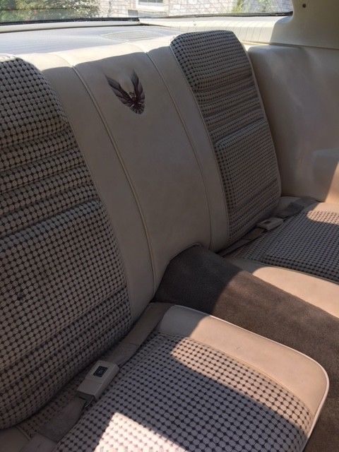 1980 Pontiac Trans Am Pace Car Edition - photo 12
