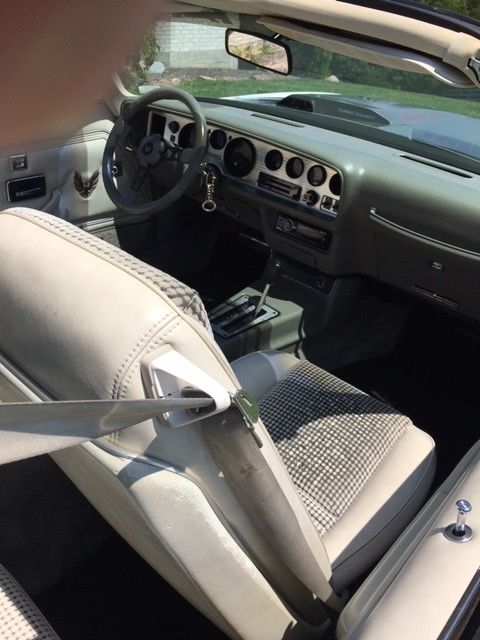 1980 Pontiac Trans Am Pace Car Edition - photo 8