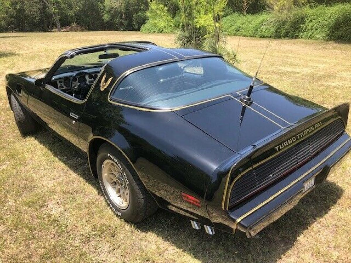 1980 Pontiac Trans Am - photo 12