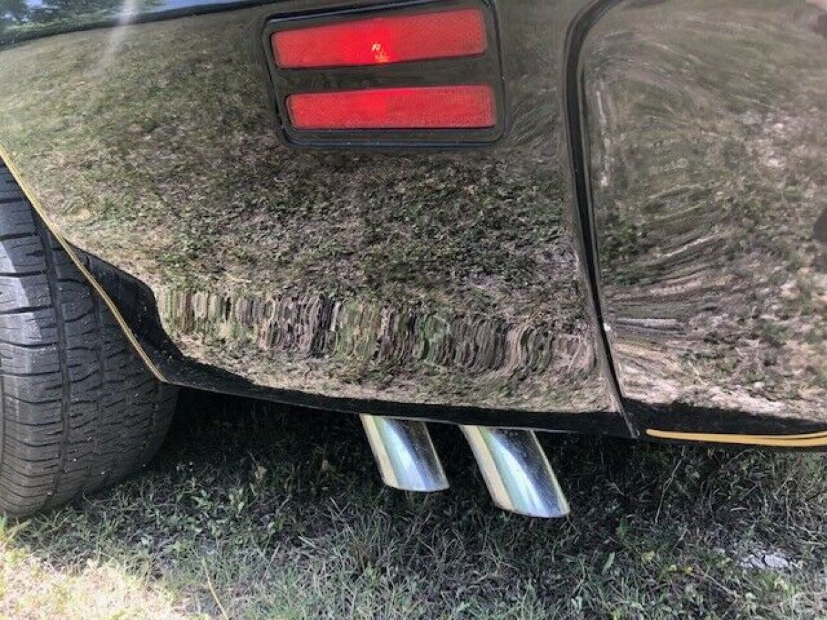1980 Pontiac Trans Am - photo 13