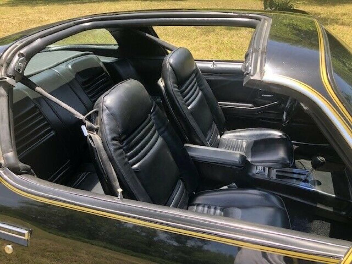 1980 Pontiac Trans Am - photo 6