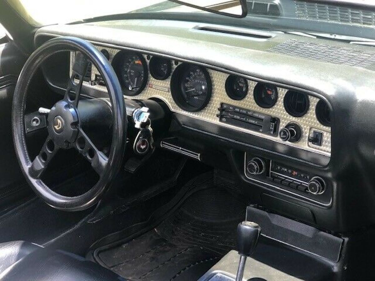 1980 Pontiac Trans Am - photo 8