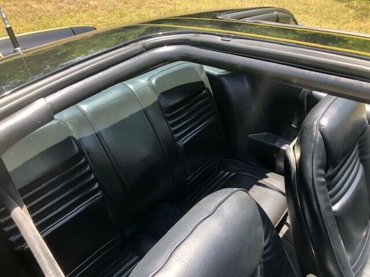 1980 Pontiac Trans Am - photo 9