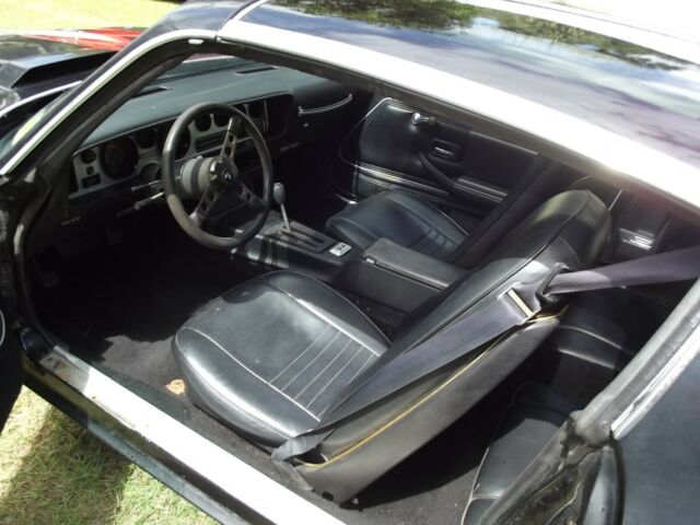 1980 Pontiac Trans Am - photo 13