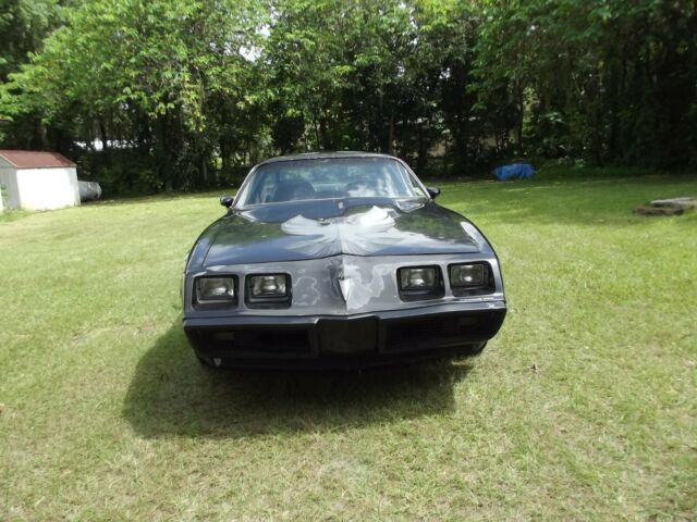 1980 Pontiac Trans Am - photo 2