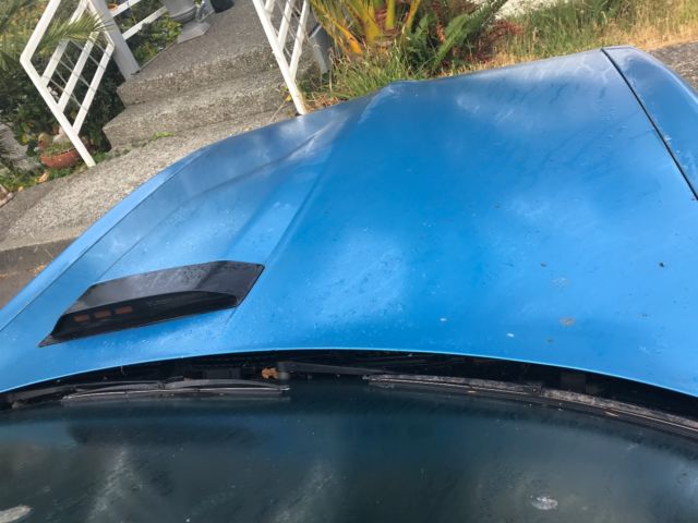 1980 Pontiac Firebird - photo 4