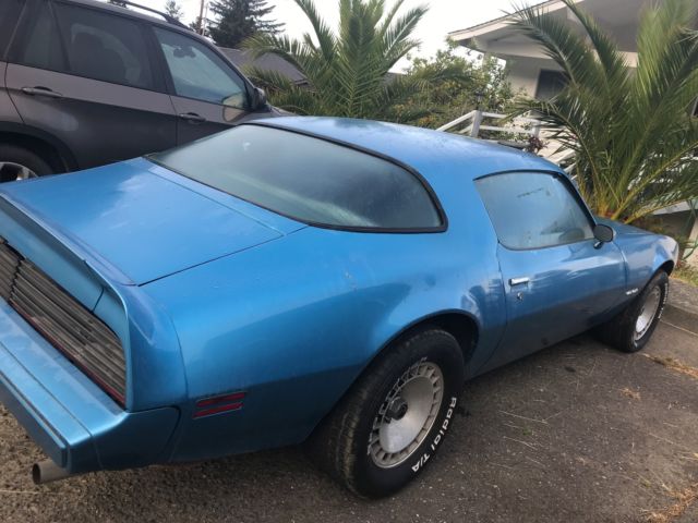 1980 Pontiac Firebird - photo 5